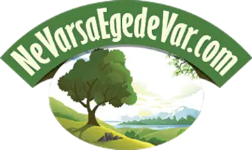Ne Varsa Egede Var