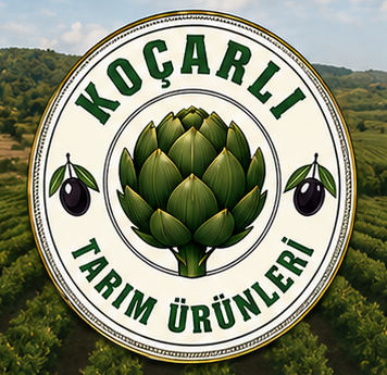 Koçarlı